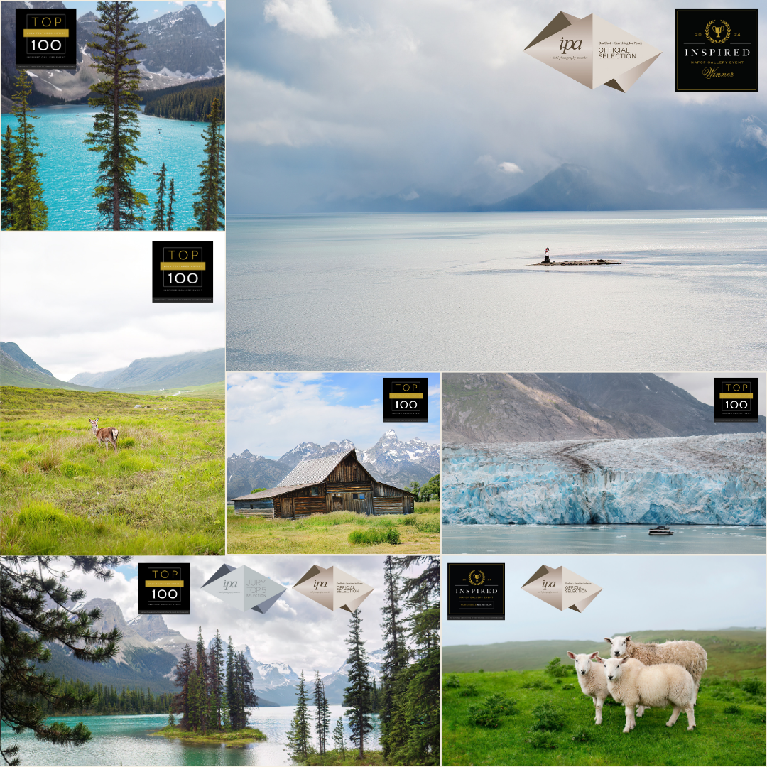 "A collage of award-winning landscape photographs by Shelby Finkelstein, featuring serene lakes, wildlife, rustic barns, glaciers, and scenic mountains, with Top 100 and IPA award distinctions."