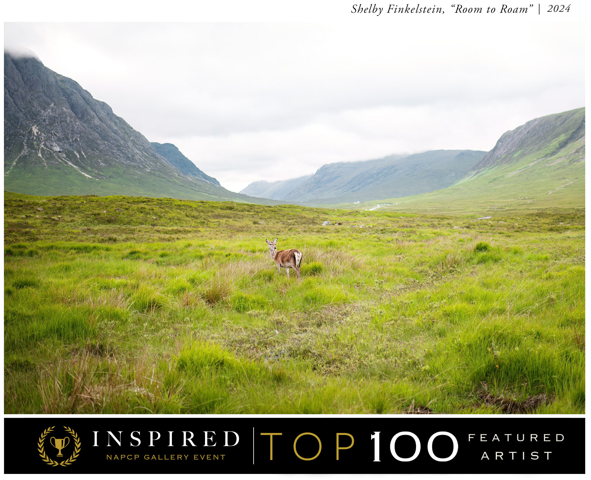 A lone deer stands in a wide, open grassy valley, selected as part of the Top 100 at the NAPCP Gallery Event.